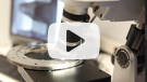 HDR digital microscope video - Kaydon Bearings
